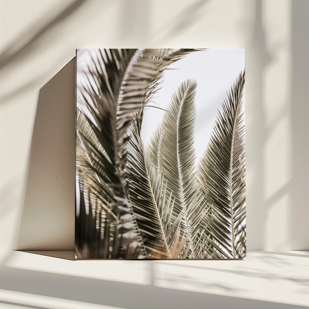 Whispers of Palms | Canvas