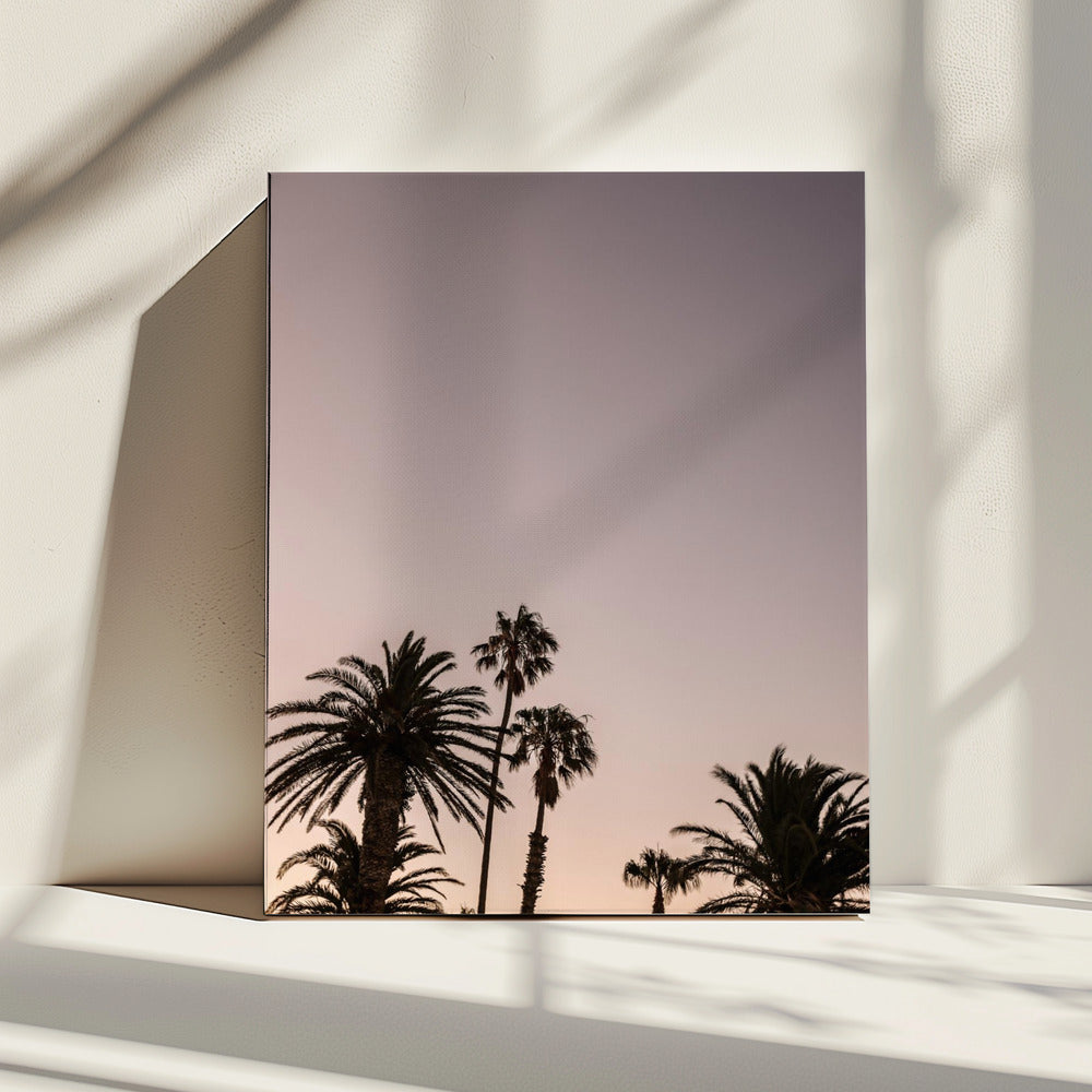 Twilight Palms | Canvas