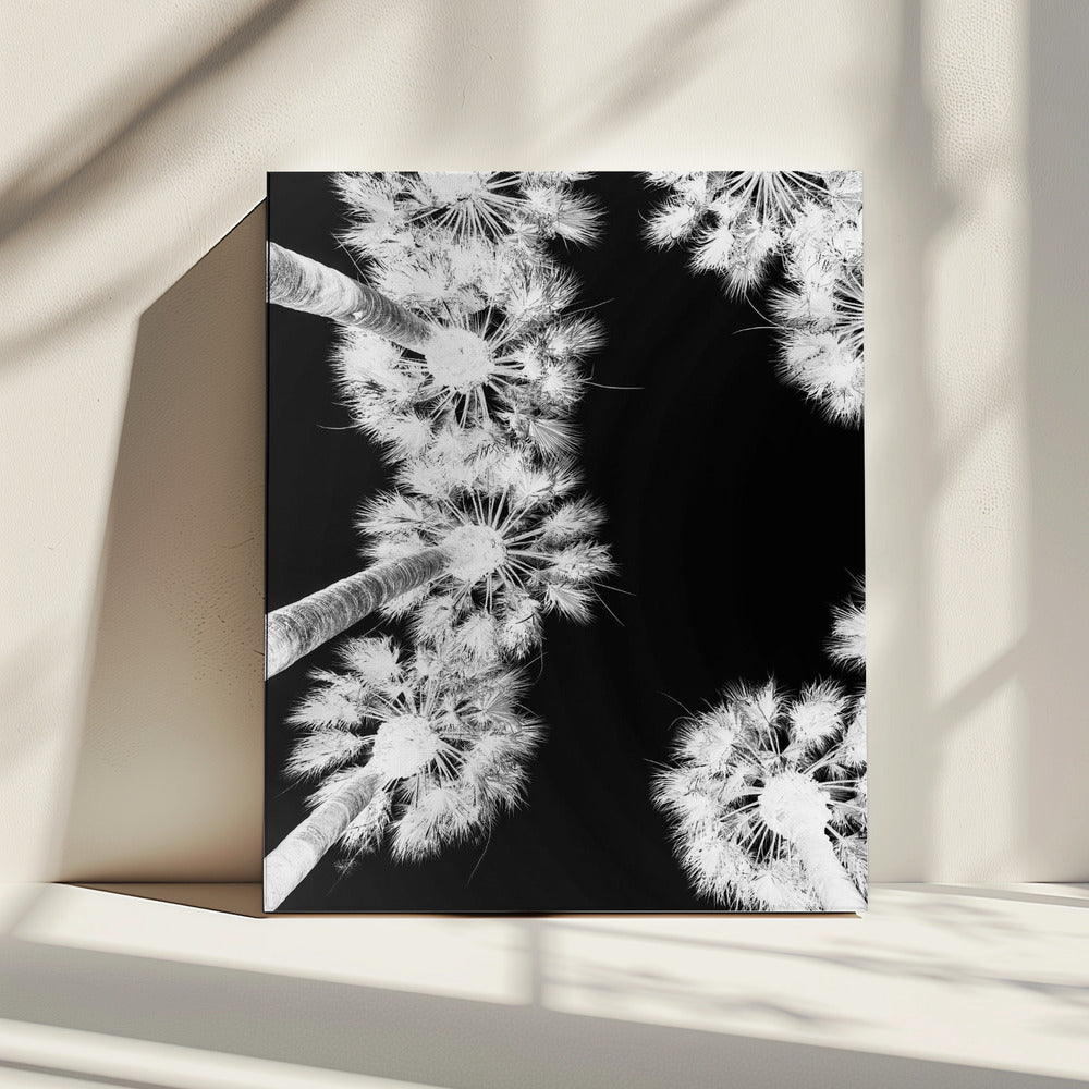 Inverted Palmscape | Canvas