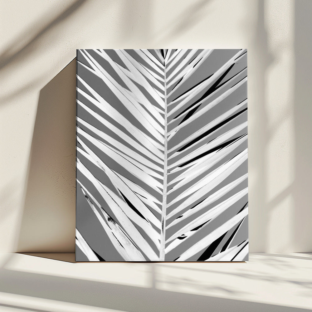 Monochrome Fronds | Canvas