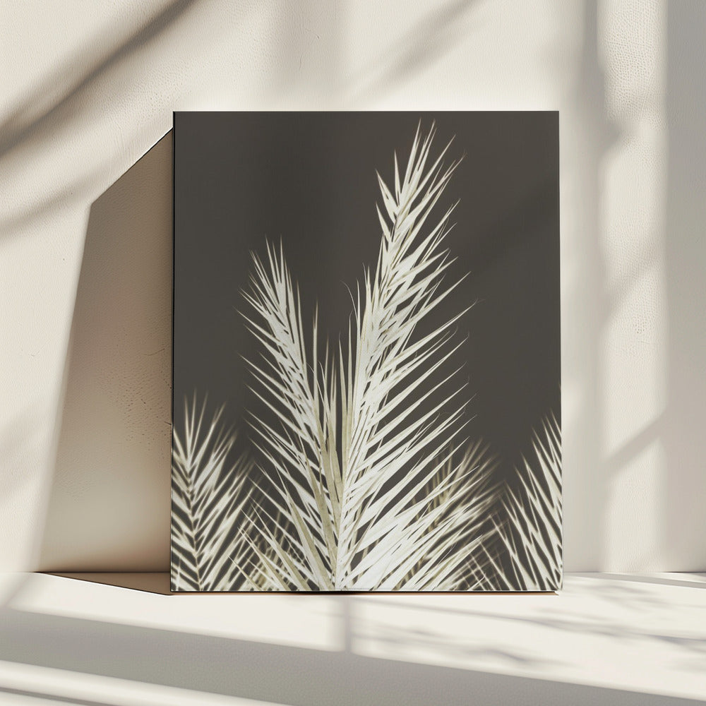 Luminescent Fronds | Canvas