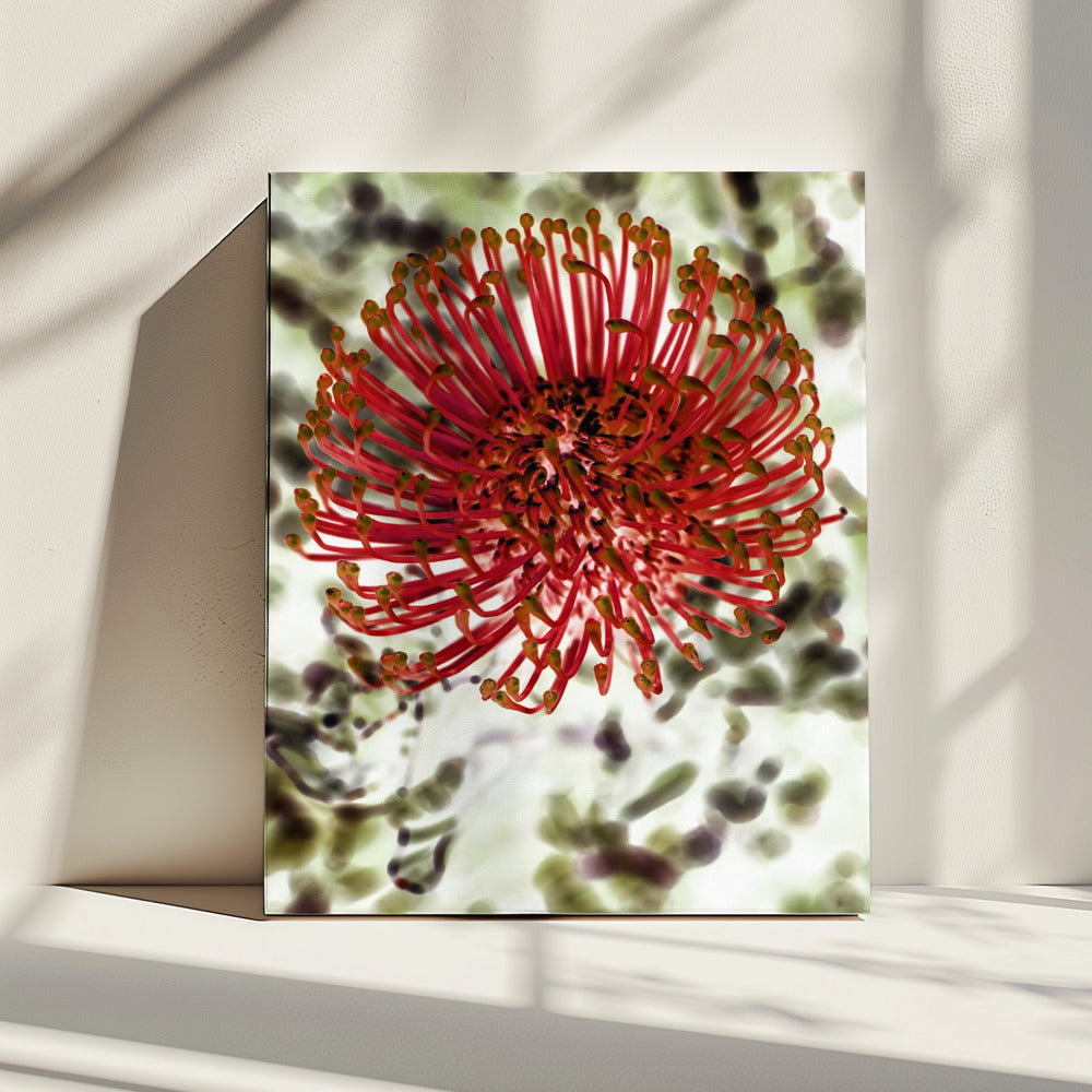 Radiant Blossom | Canvas