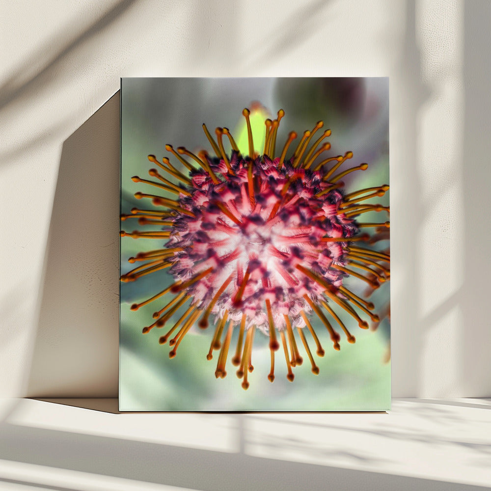 Blooming Radiance | Canvas
