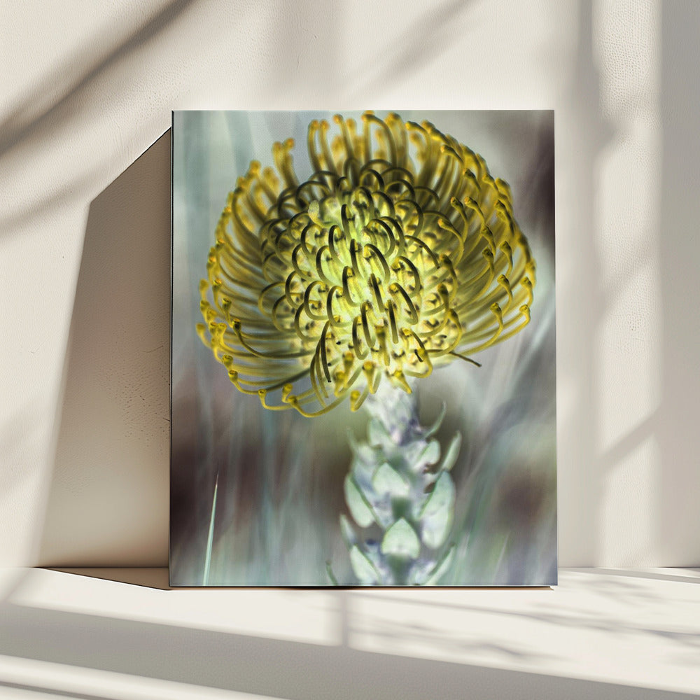 Golden Bloom Burst | Canvas