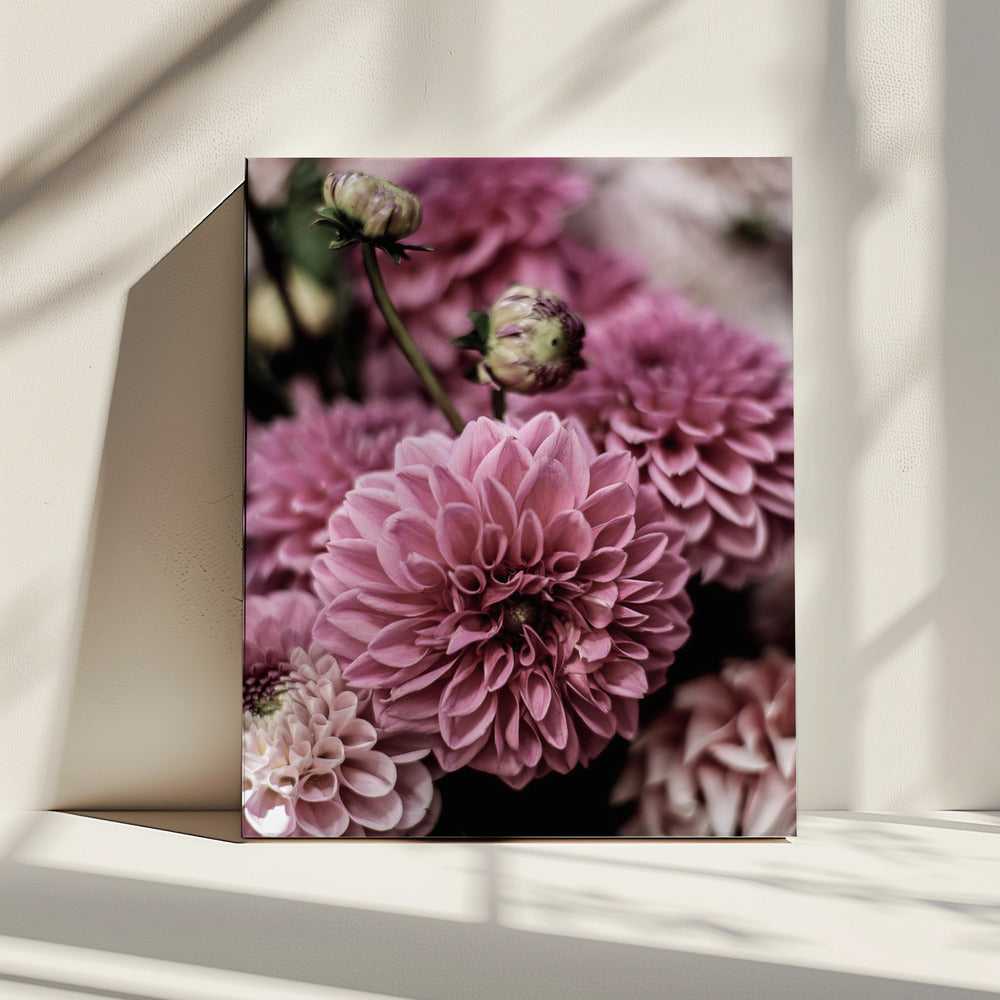 Petal Symphony | Canvas
