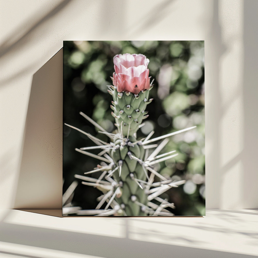 Desert Blossom Beauty | Canvas