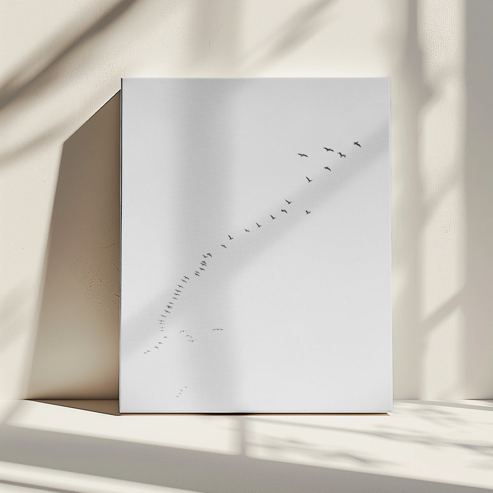 Flight in Formation | Canvas