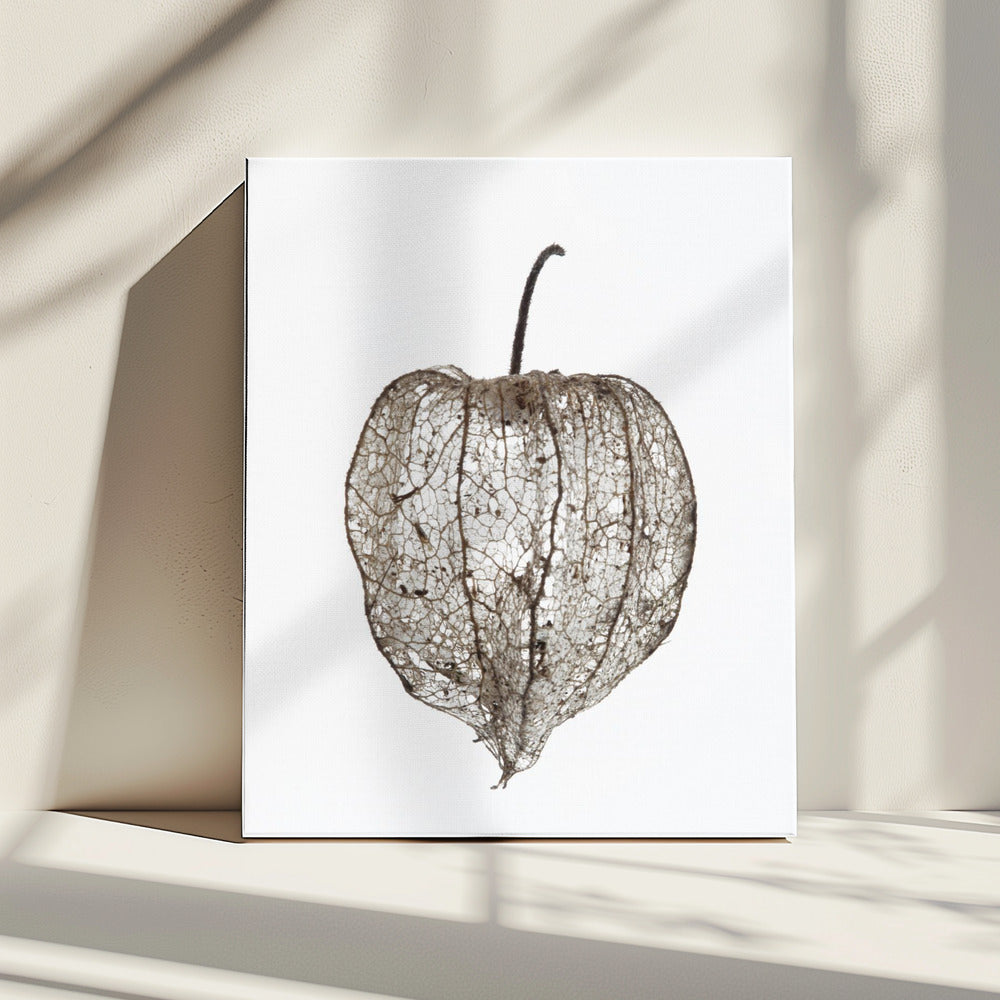 Fragile Nature&#039;s Veil | Canvas