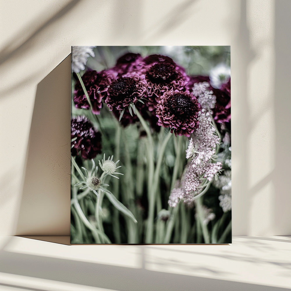 Whispers of Petals | Canvas