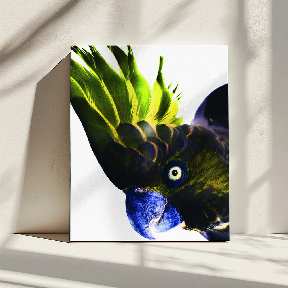 Vivid Bird Glance | Canvas