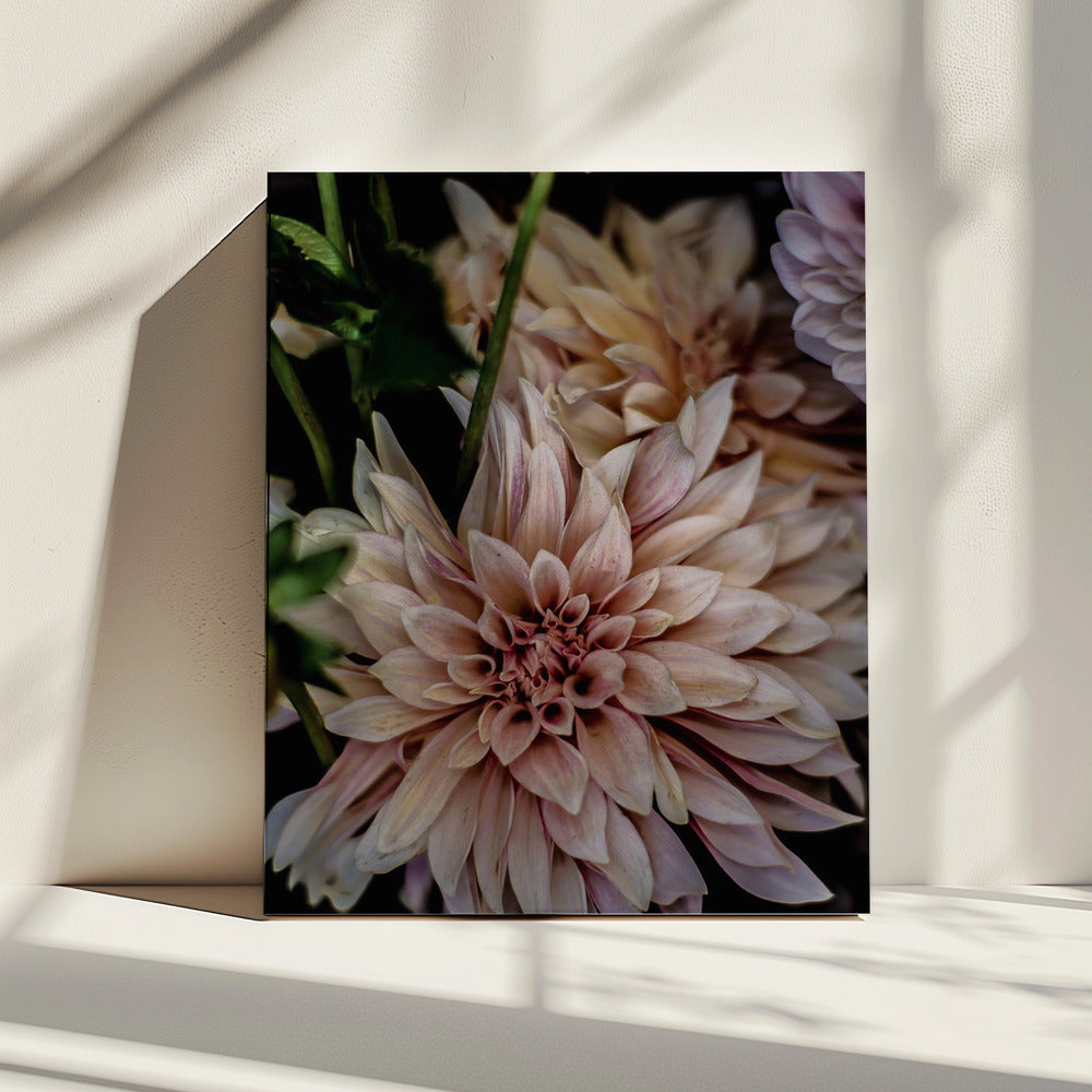 Petals in Bloom | Canvas