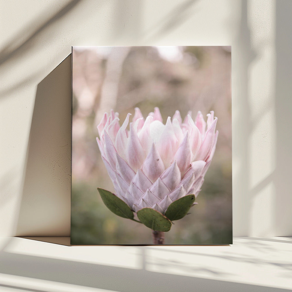 Blossom Majesty | Canvas