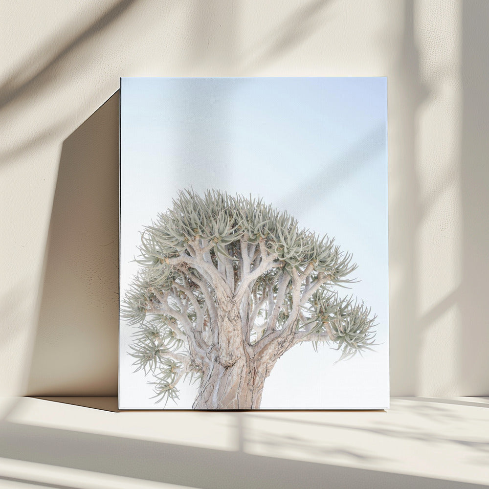 Ancient Serenity | Canvas