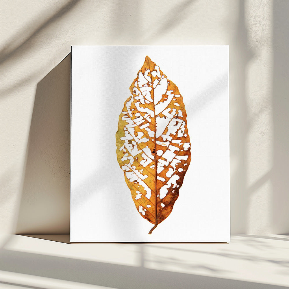 Leaf Skeleton Essence | Canvas