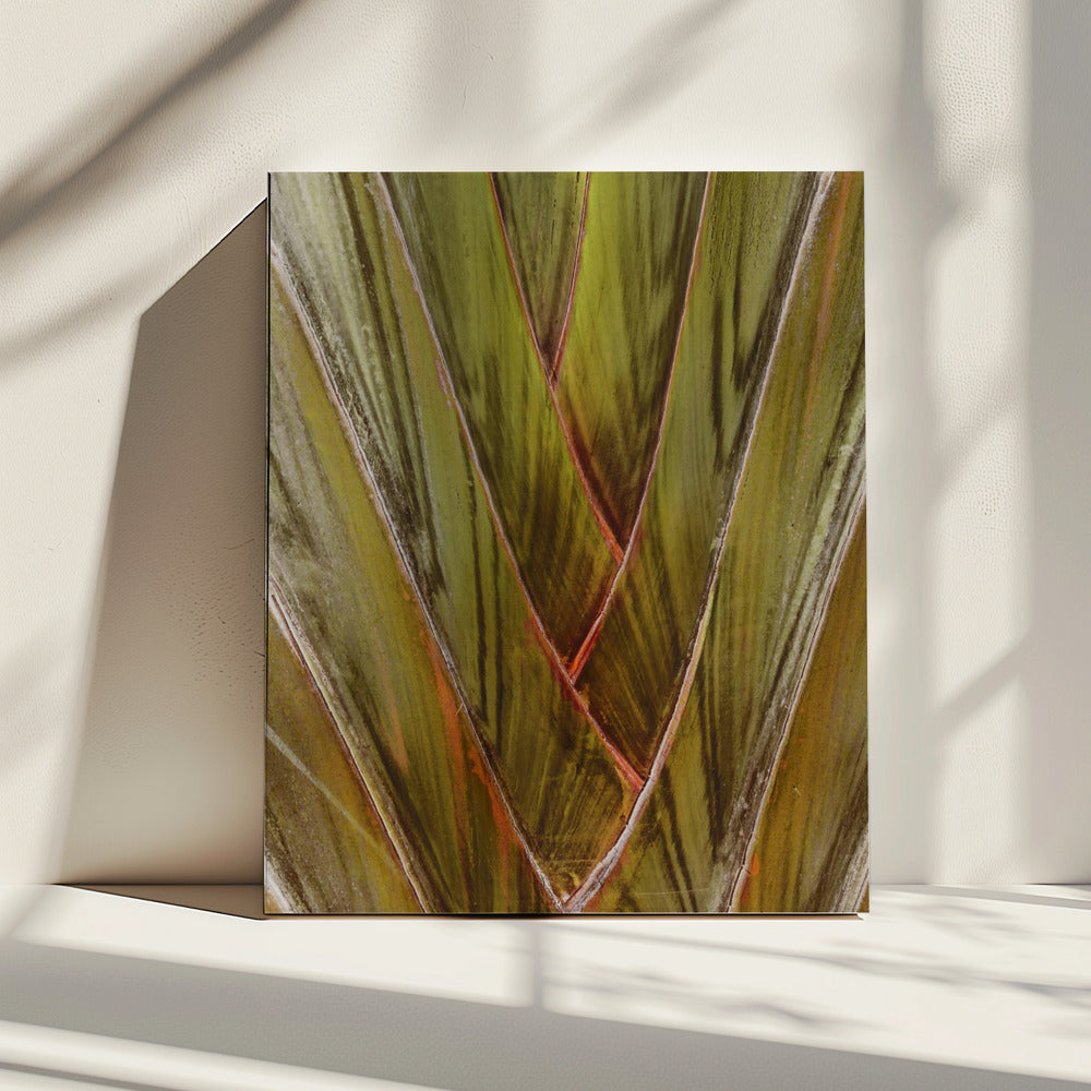 Verdant Vortex | Canvas