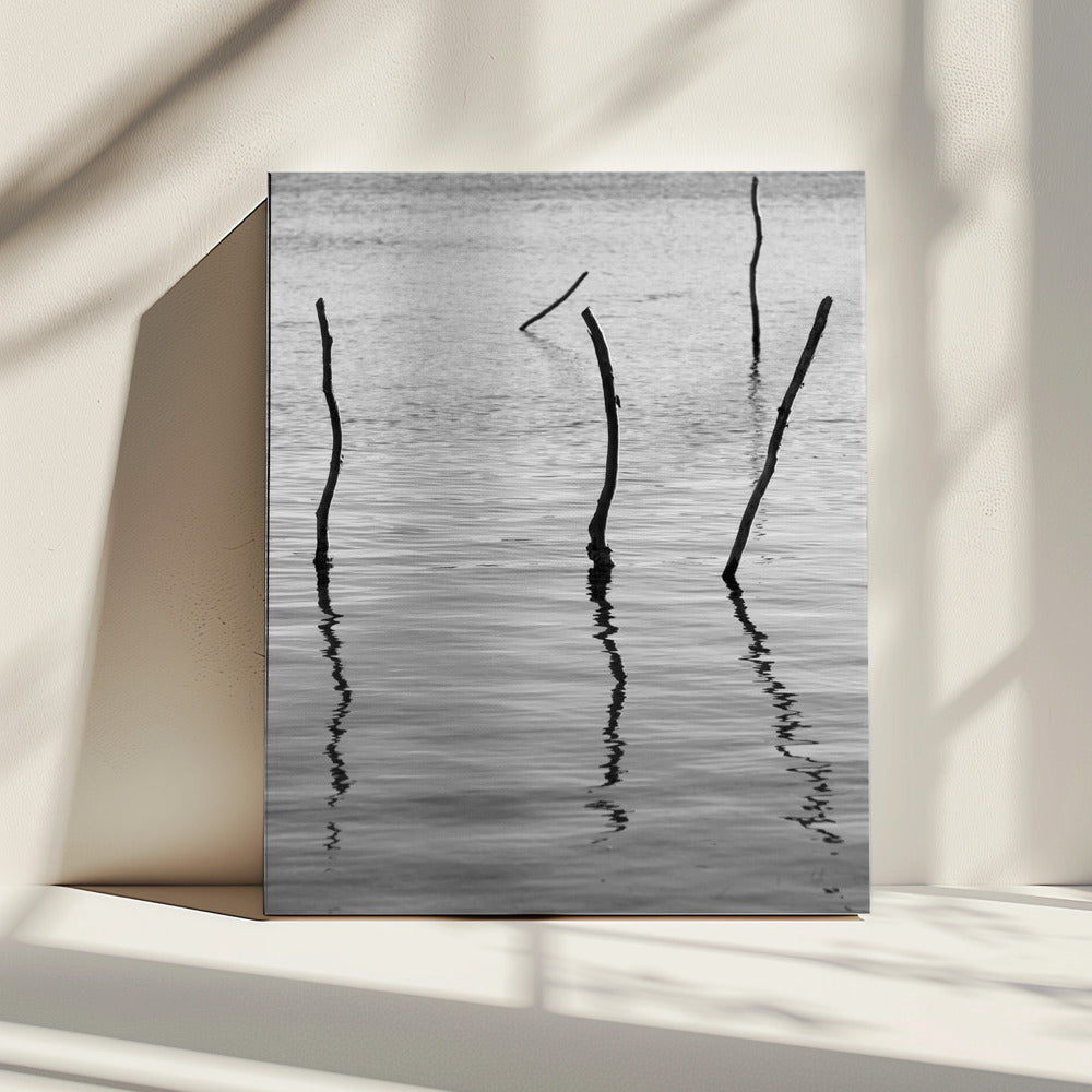 Silent Reflections | Canvas