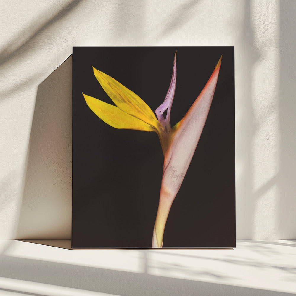 Exotic Blossom Glow | Canvas