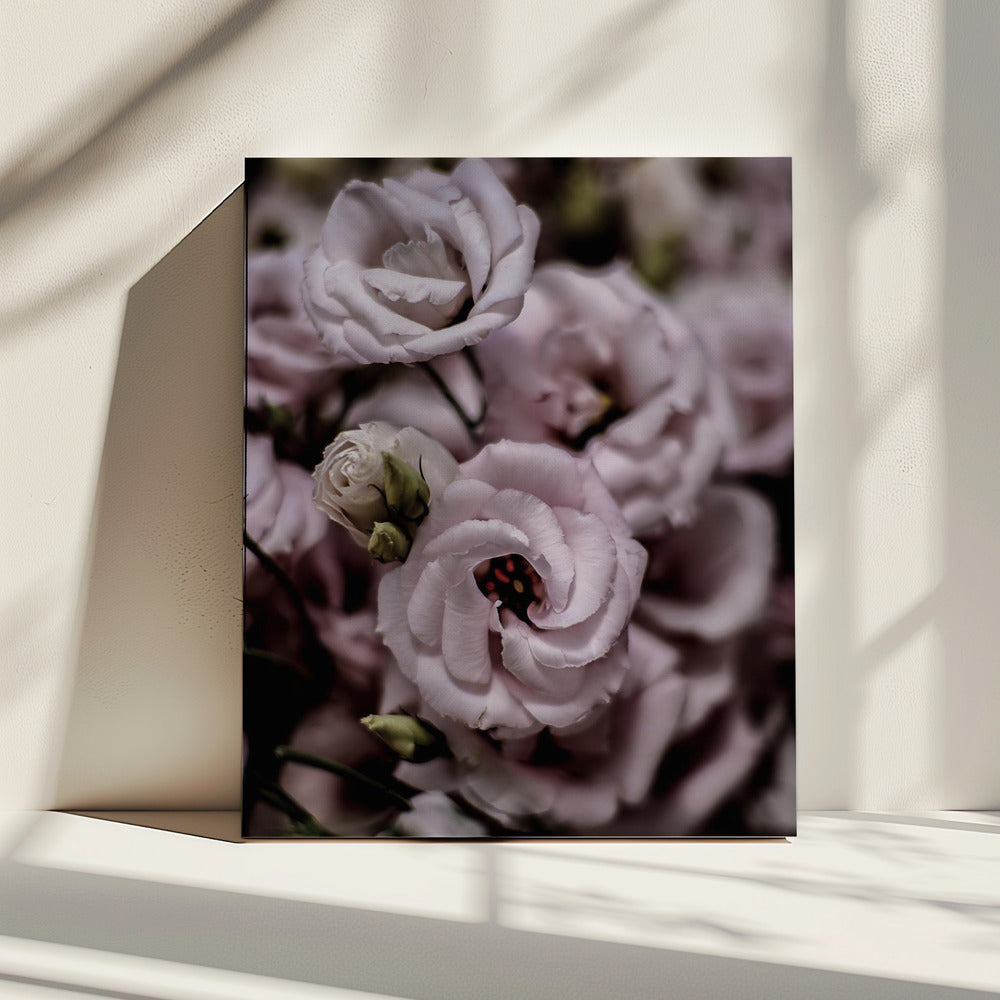 Delicate Beauty of Pink Lisianthus Flower | Canvas