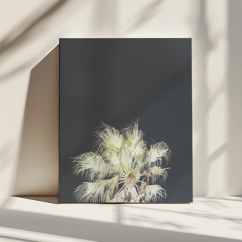 Luminous Palms | Canvas