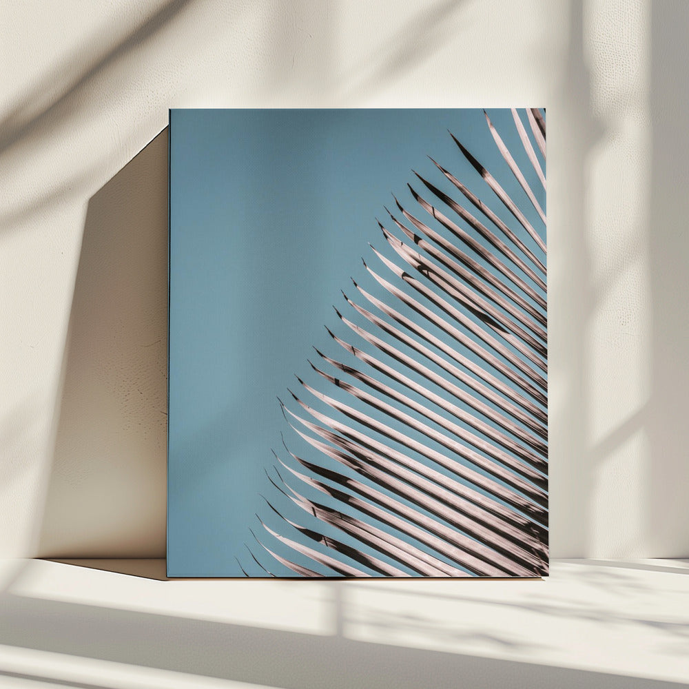 Palm Leaves Serenity | Canvas