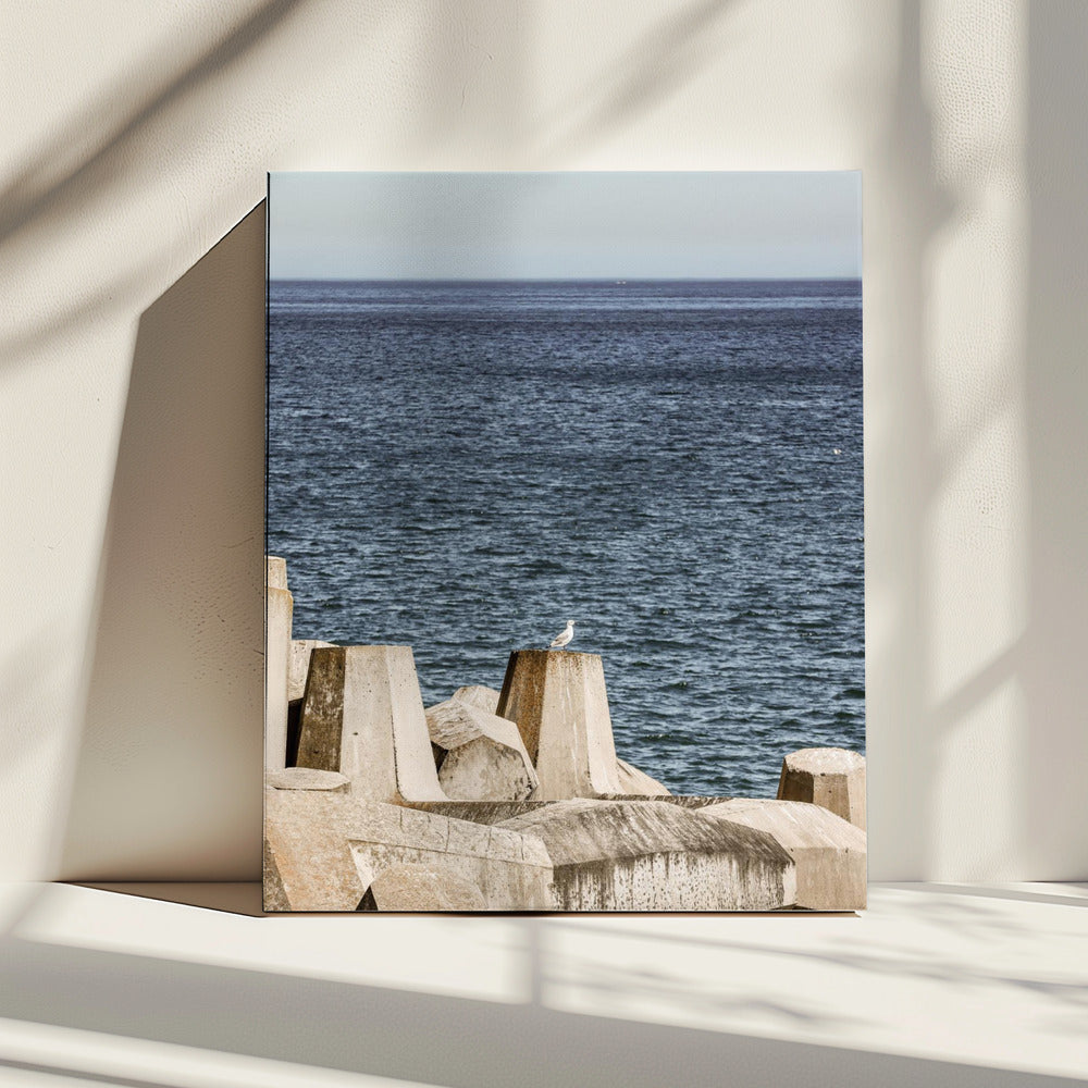 Seagull by the Sea | Canvas