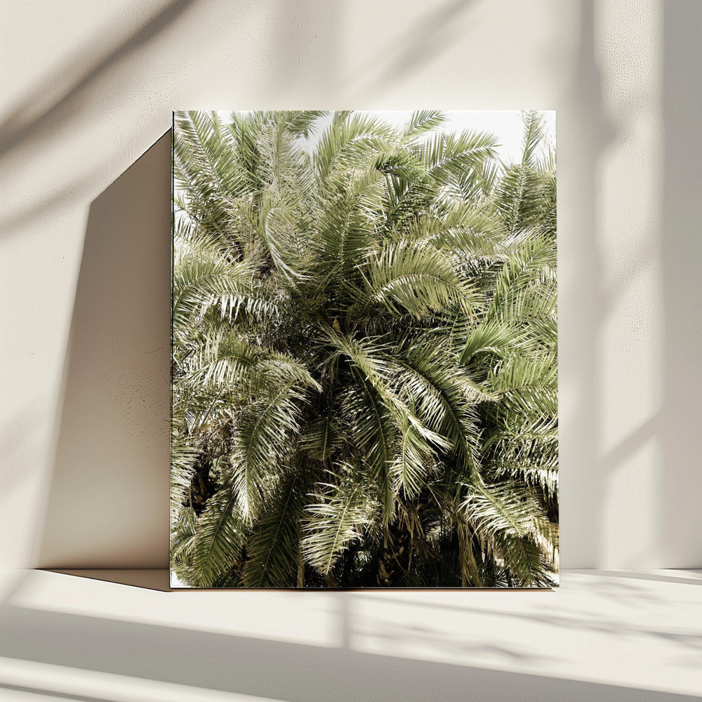 Verdant Palm Waves | Canvas