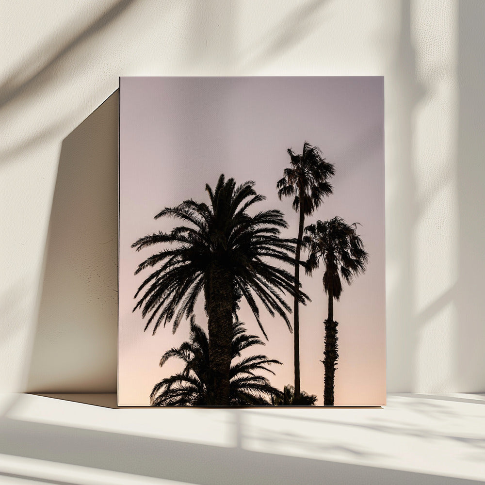 Silhouette of Palm Trees | Canvas