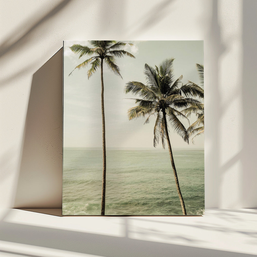 Oceanside Palms | Canvas