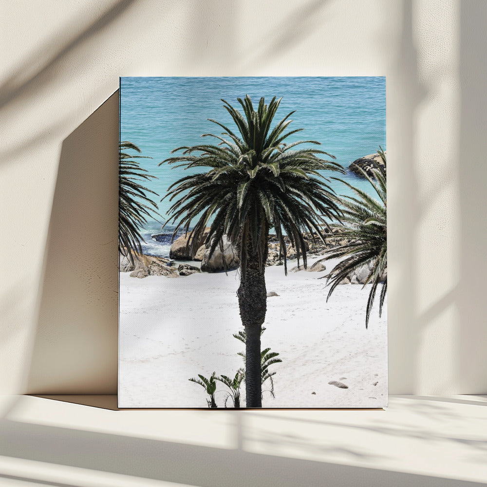 Secret Sands | Canvas