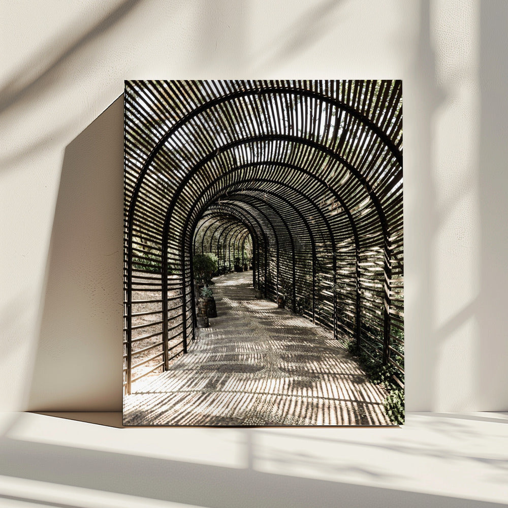 Shadow Garden | Canvas