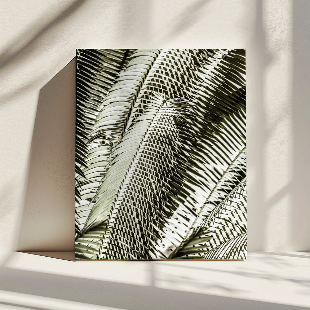 Shadow Dancing | Canvas