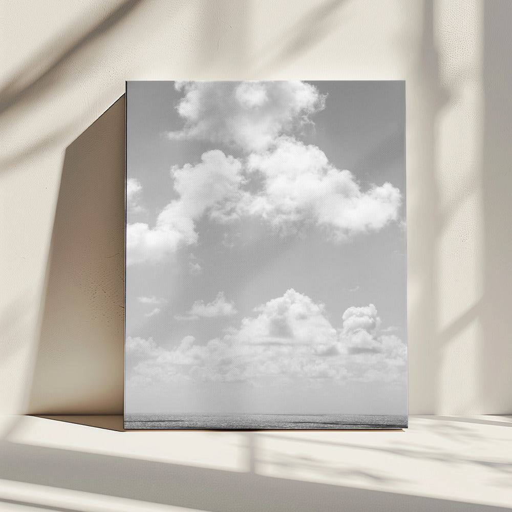 Shadow Play | Canvas