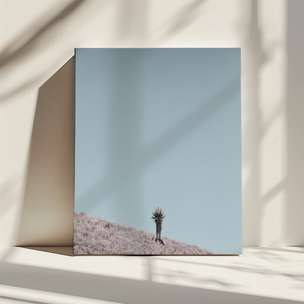 Minimalist Artwork | Canvas