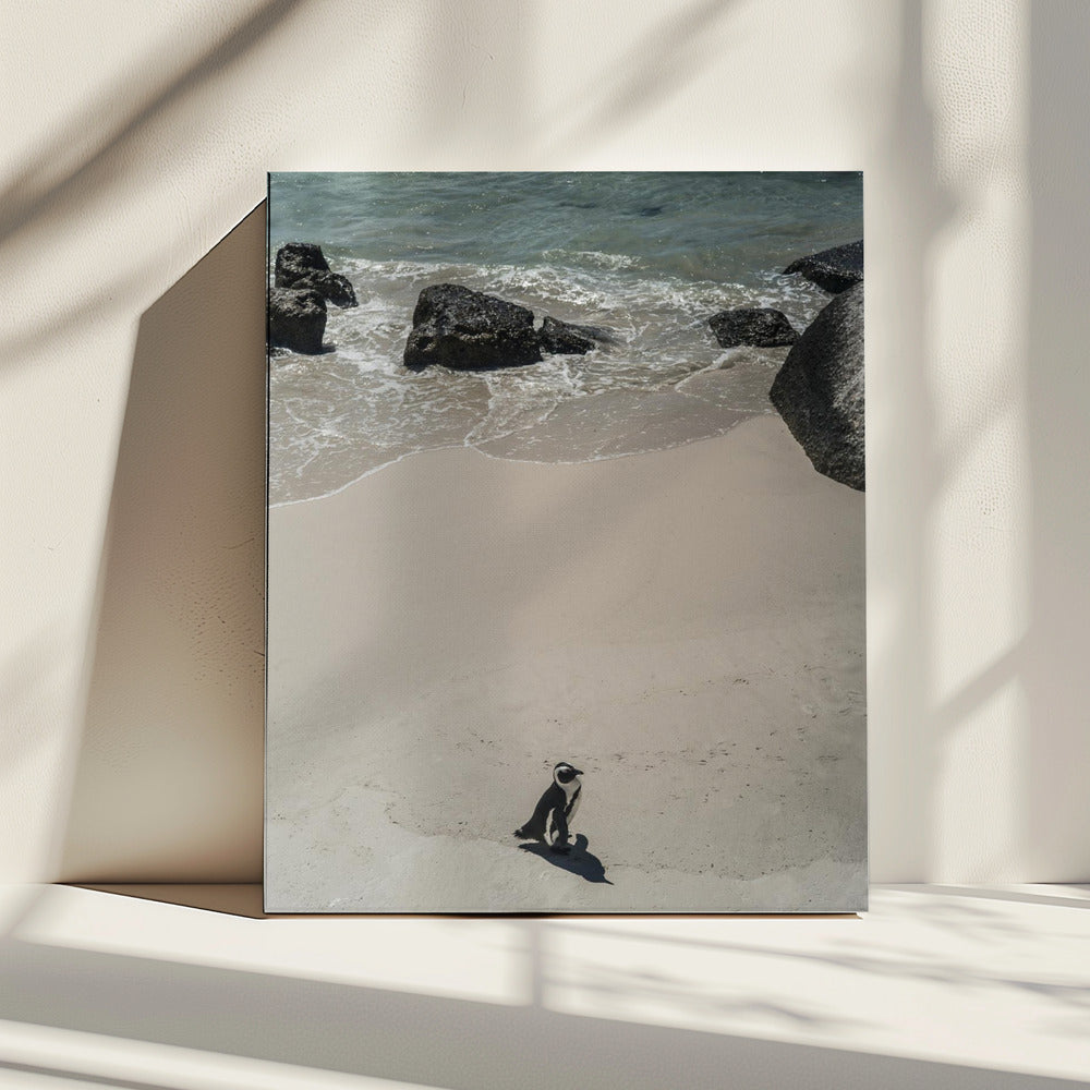 Lonely Beach Stroll | Canvas