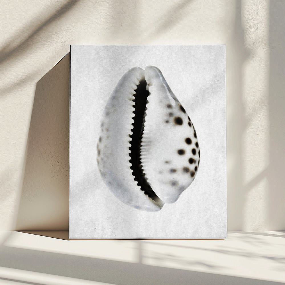 Spring Tide | Canvas