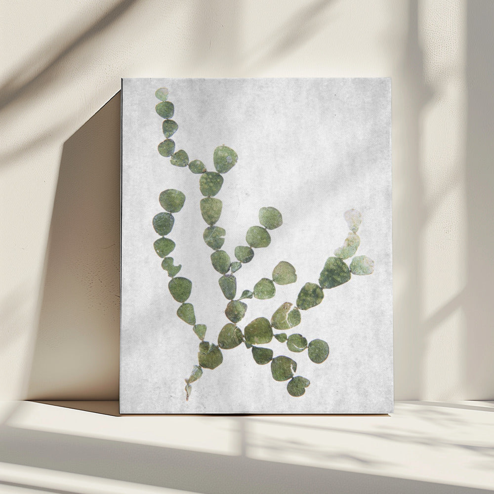 This Minimalist Artwork | Canvas