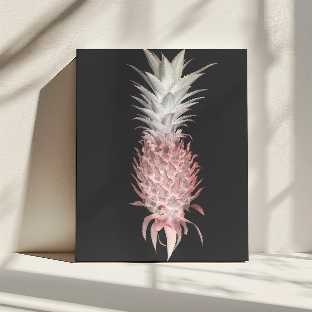 Strawberry Pine | Canvas