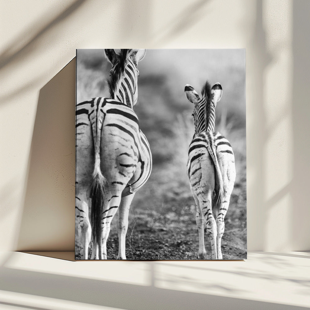 Striped Horse Back Side | Canvas