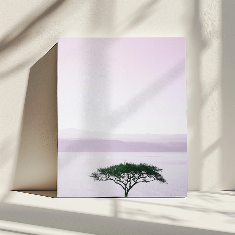 Tree By A Tranquil Lake | Canvas