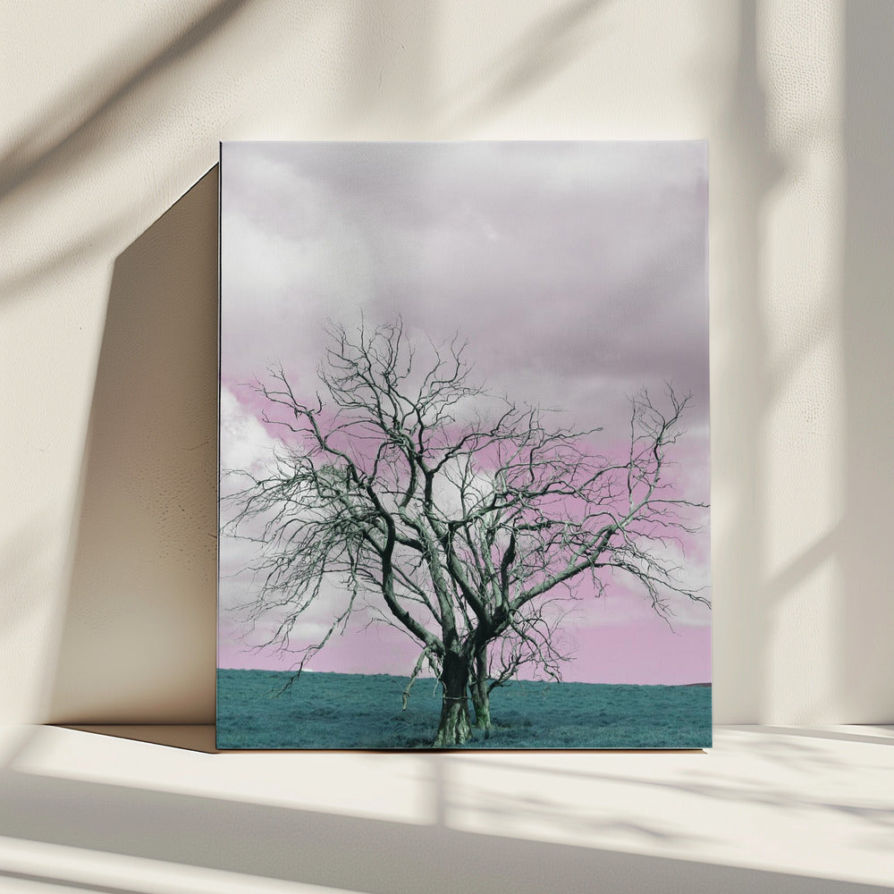 Barren Tree Against A Dreamy Pink Sky | Canvas