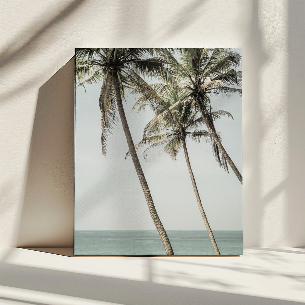 Ocean Breeze Palms | Canvas