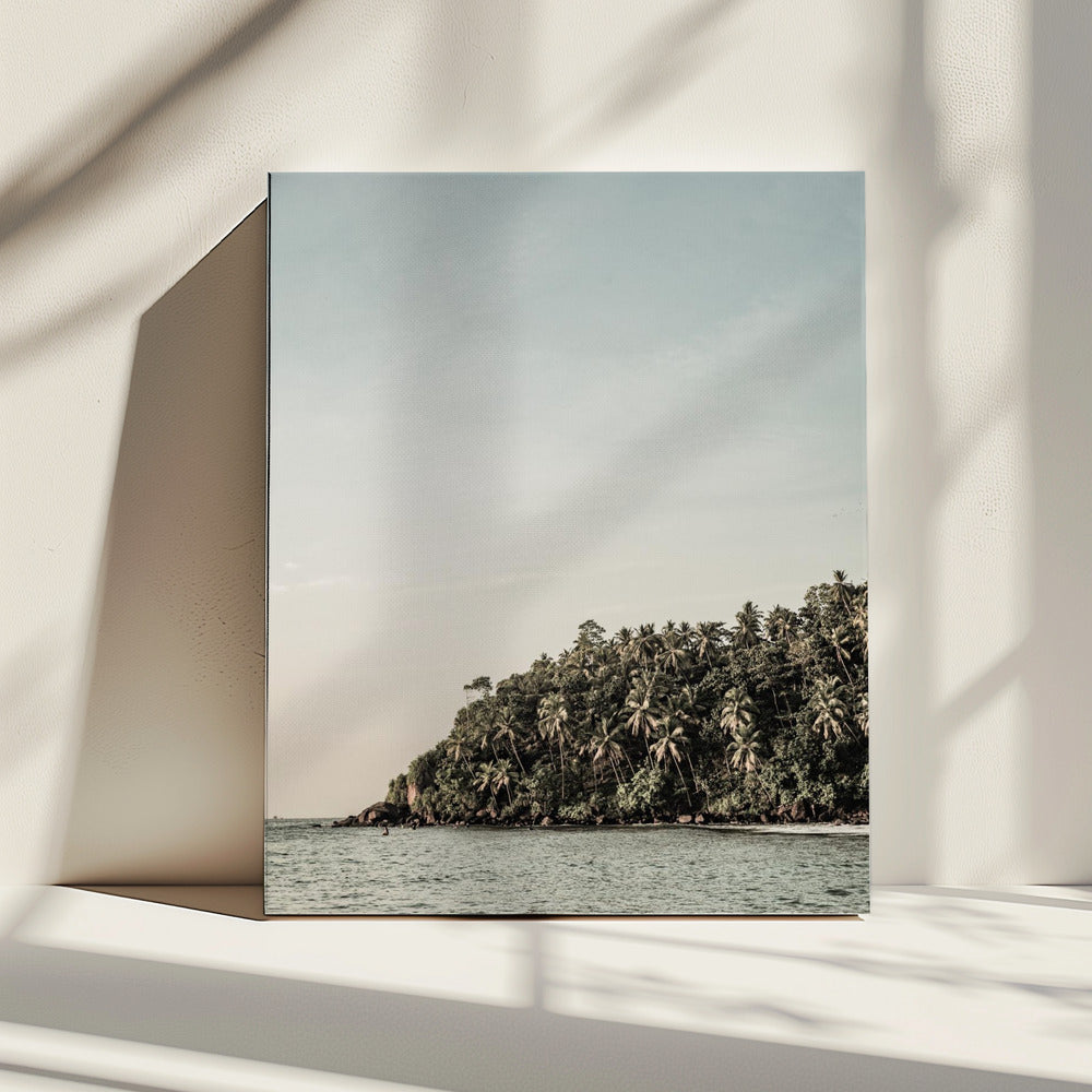 Sunshine Stories | Canvas