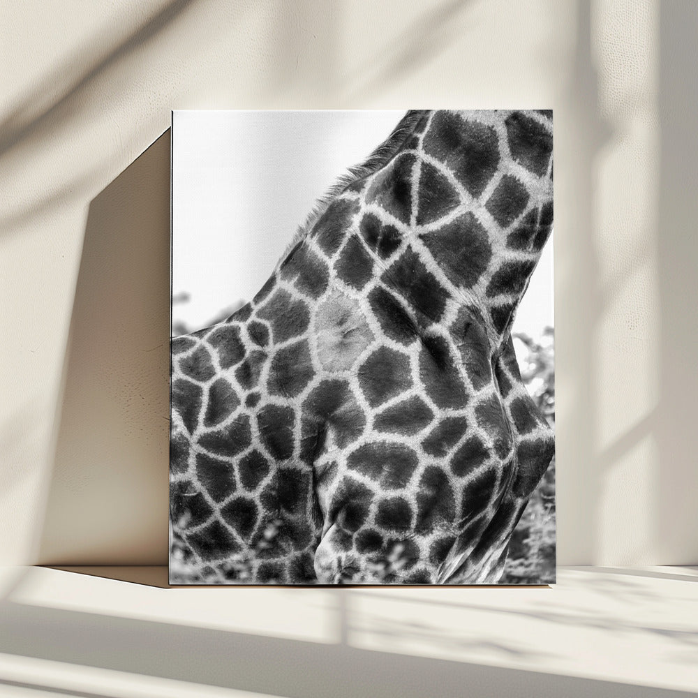 Intricate Patterns Of A Giraffe&#039;s Skin | Canvas