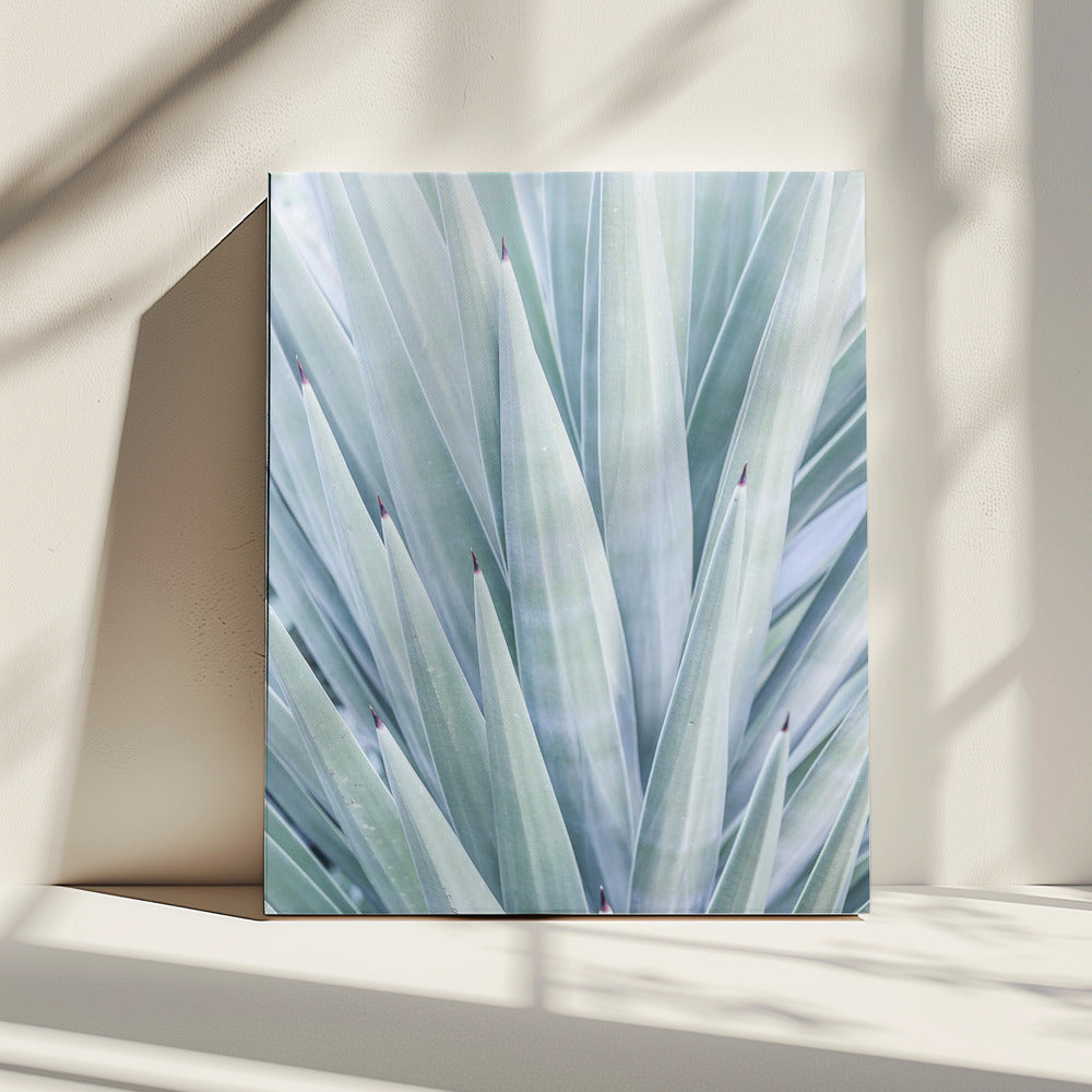 Azure Agave Dance | Canvas