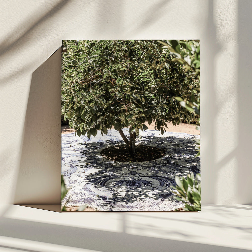 Vibrant Outdoor Installation | Canvas