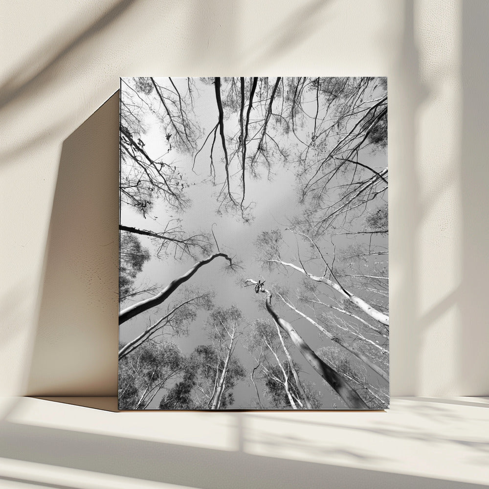 Skyward Symphony | Canvas
