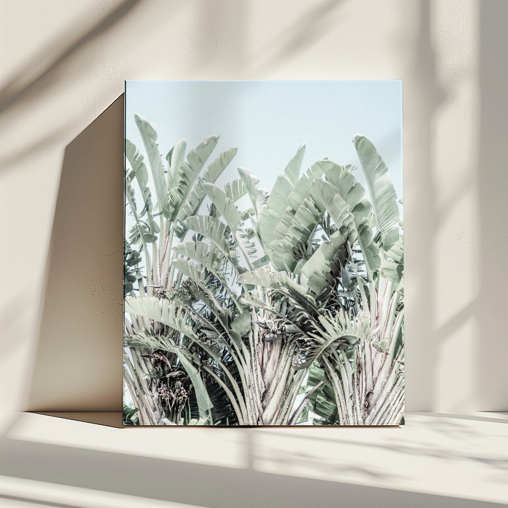 Tropical Whispers | Canvas