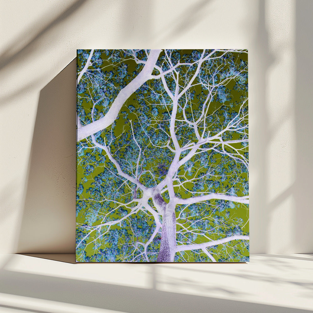 Surreal Branches | Canvas