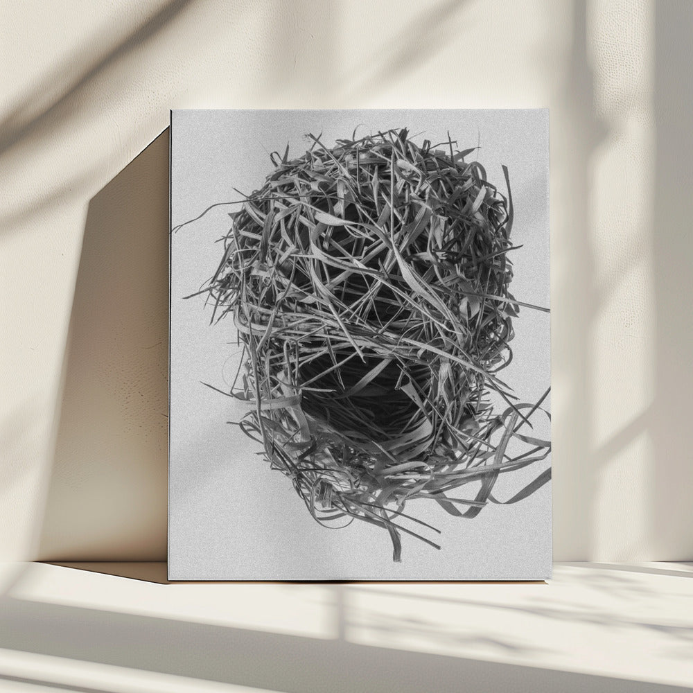 Weavers Nest | Canvas