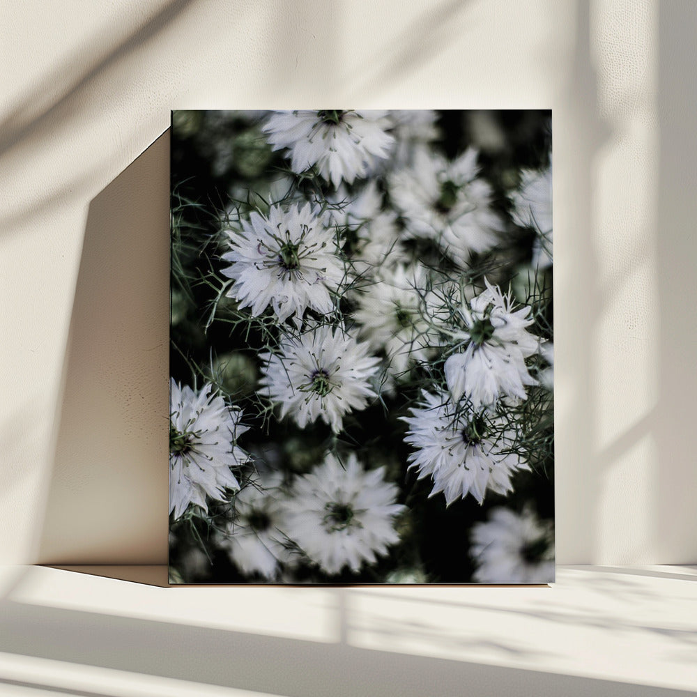 Whispering Blossoms | Canvas